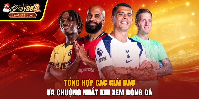 Tổng hợp các giải đấu ưa chuộng nhất khi xem bóng đá